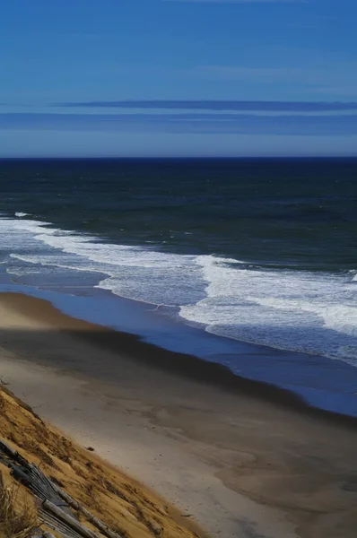 ケープコッドのビーチとサーフィン — ストック写真