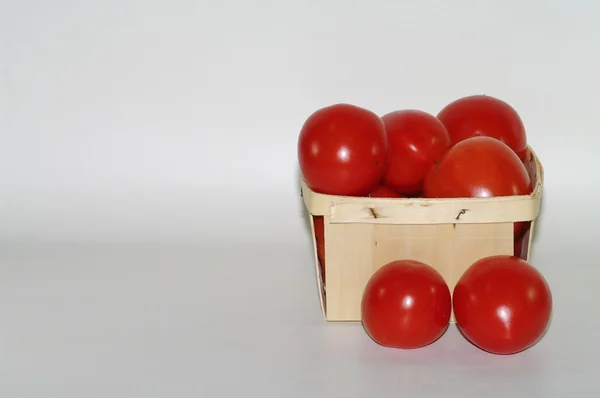 Свежие собранные помидоры — стоковое фото
