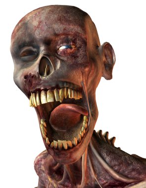 Rotten head of a zombie clipart