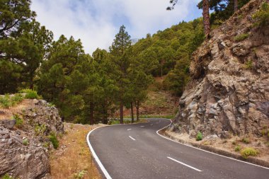 roque de los muchachos dağ yolu