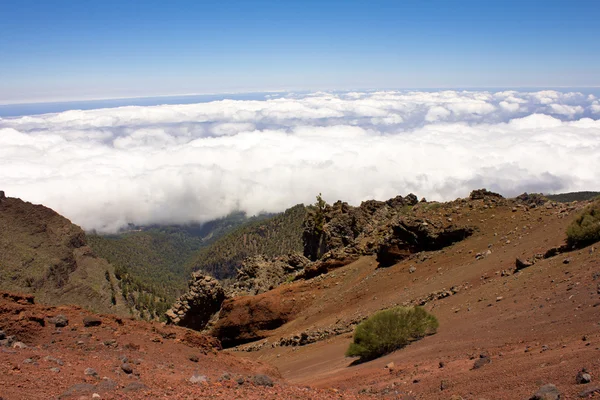 Vulkangestein über den Wolken — Stockfoto