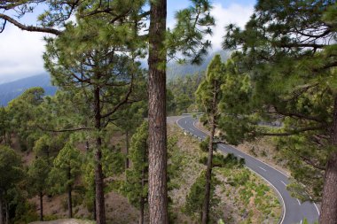 carretera de montaña con curvas en la palma