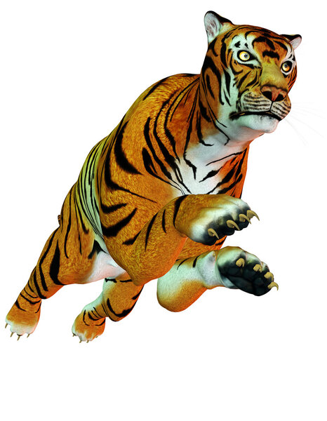 Dangerous predator jumping