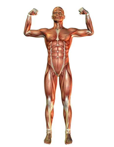 Muscle man pose geldende — Stockfoto