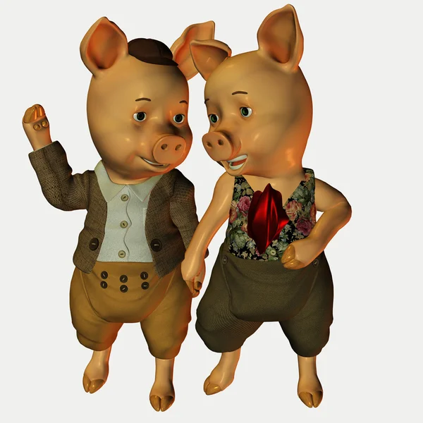 Bay ve Bayan domuz — Stok fotoğraf