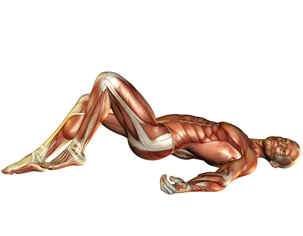 Muscle man liegen — Stockfoto