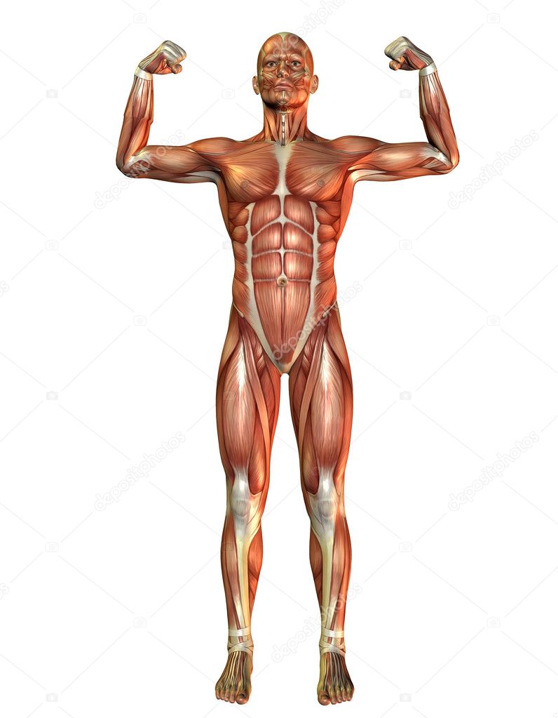 Muscle man pose in force