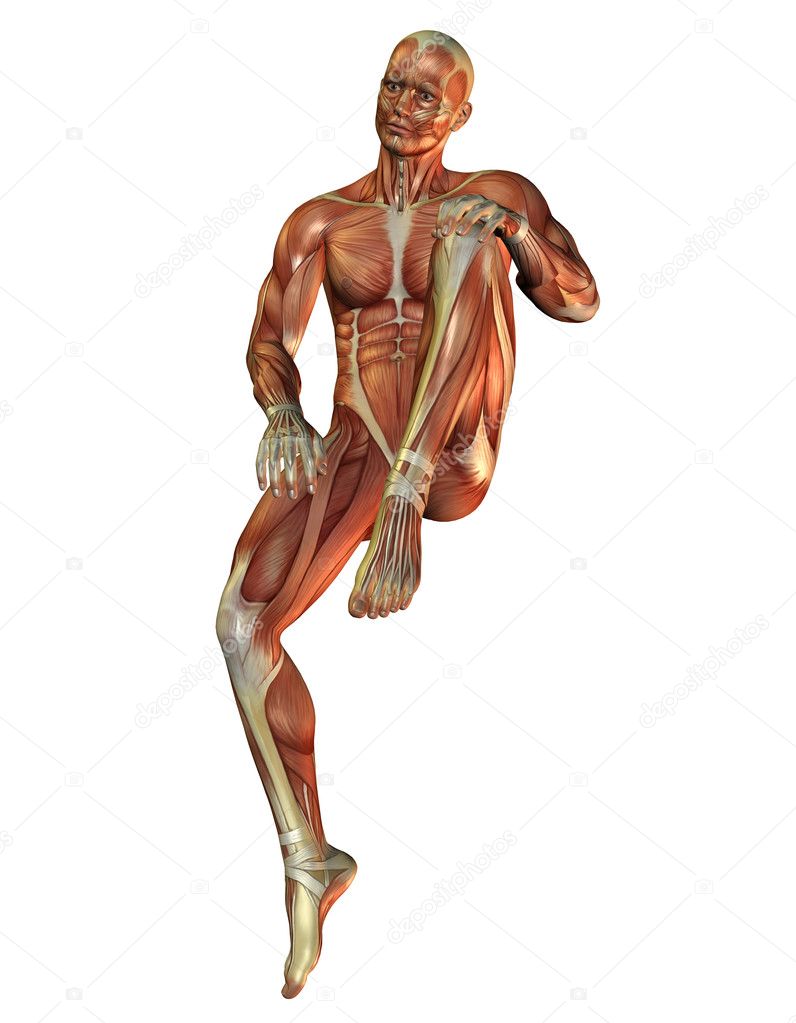 Muscle man in a sitting posture