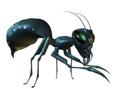 Side view of an ant clipart