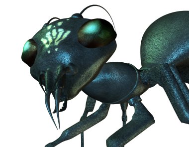 Detailed view of an ant head clipart