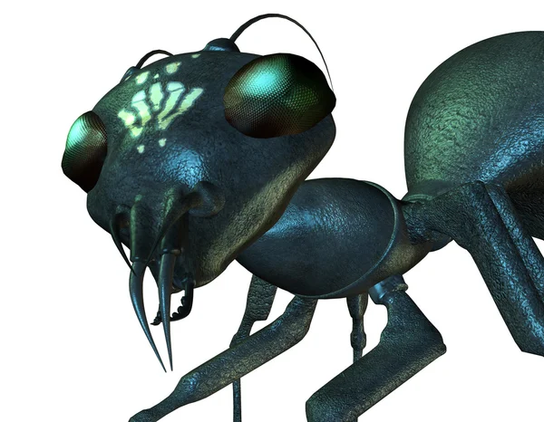 Szczegółowy widok głowy mrówki — Zdjęcie stockowe