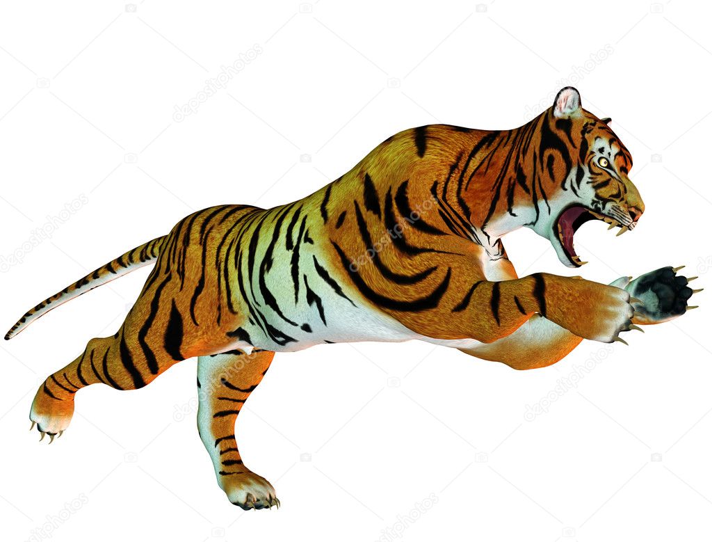 Bengal Tiger Standing Growl 3d Renderin Stock Illustration