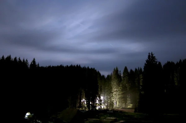 stock image Lights in forest