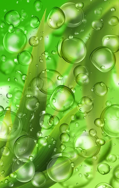Drops water — Stock Photo, Image