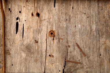 Closeup of old rustic wood texture clipart