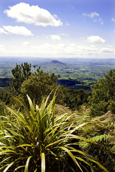 stock image New Zealand scenic