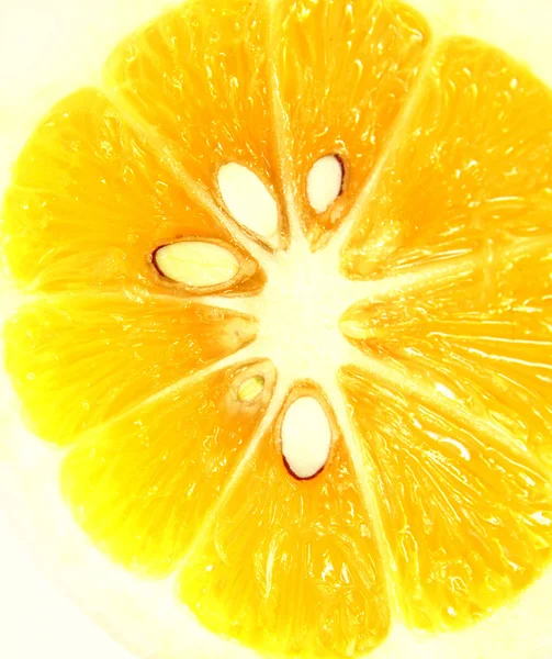 Close-up van sectie van citroen segment — Stockfoto
