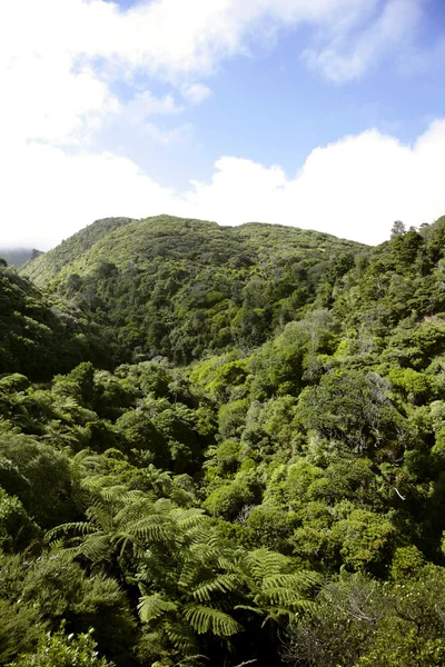 Nya Zeeland natursköna — Stockfoto
