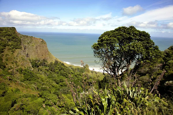 stock image Coastline