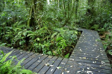 Boardwalks