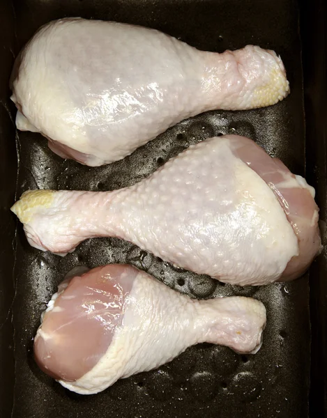 Pollo —  Fotos de Stock