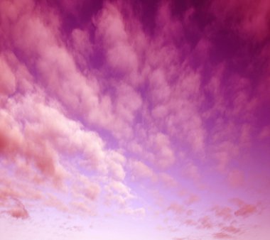 Purple and pink colors in sunset sky clipart