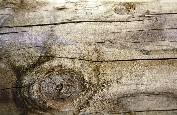 Крупним планом зерна і вузла в дереві — стокове фото