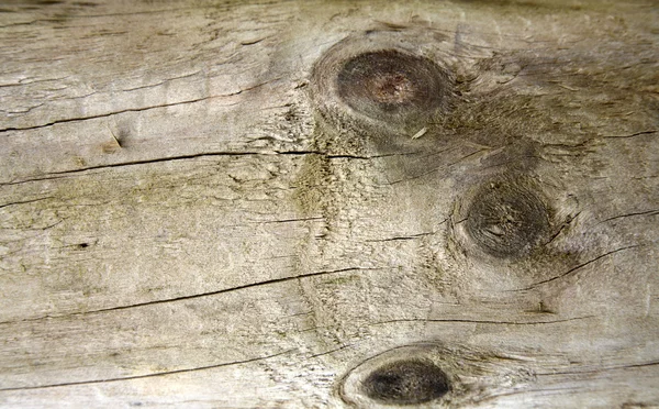 Closeup of grain in pine timber — Stock Photo, Image
