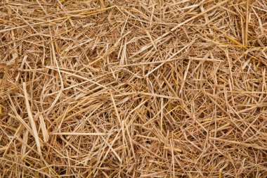 Straw from rice background clipart