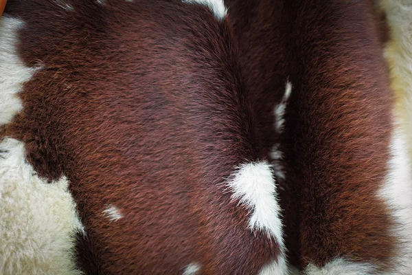 Genuine leather skin of young cow — Stock Photo, Image