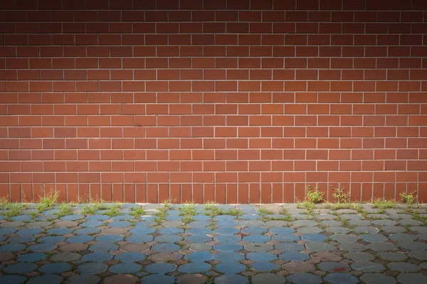 Brick wall and green grass for background — Stock Photo, Image