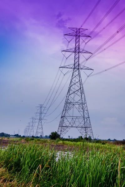 Linha elétrica do volt alto funcionou através do campo de arroz do crescimento adiantado no rura — Fotografia de Stock