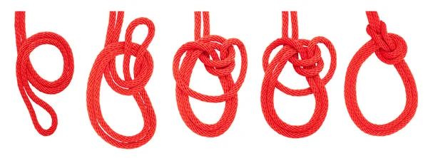 Knot series : bowline on a bight — Stock Photo, Image