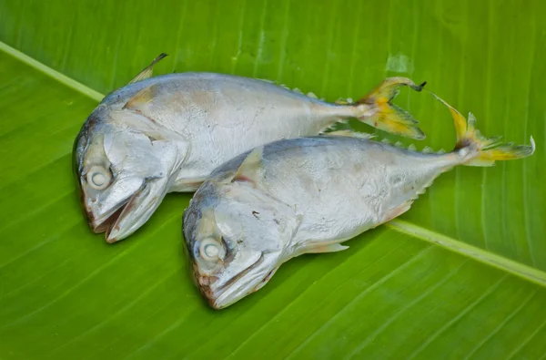 Zwei gekochte Makrelen auf grünem Bananenblatt — Stockfoto