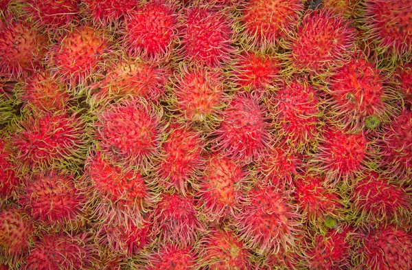 Owoców Rambutan — Zdjęcie stockowe