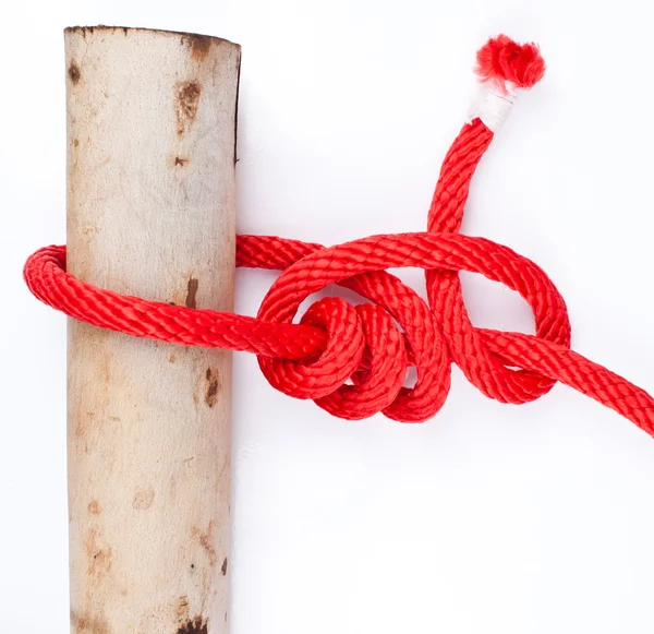 Knot series : tarbuck knot — Stock Photo, Image