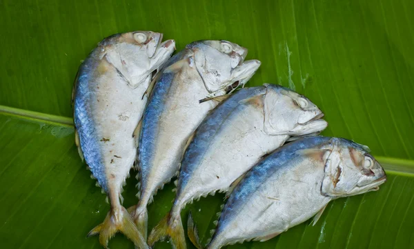 Vier gekochte Makrelen auf grünem Bananenblatt — Stockfoto
