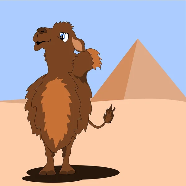 Camel in a desert — Stock Vector