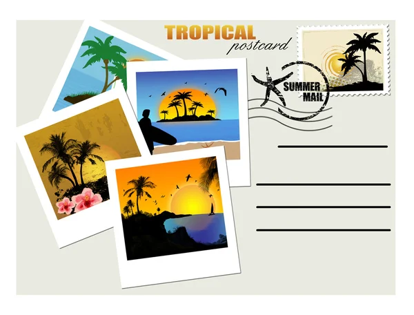 Cartão postal tropical — Vetor de Stock