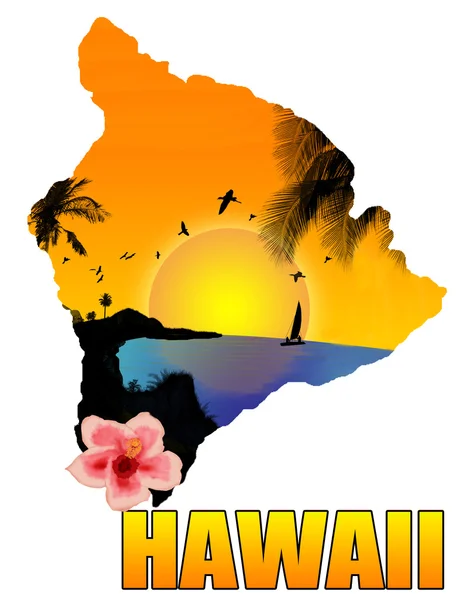 Affiche Hawaï — Image vectorielle