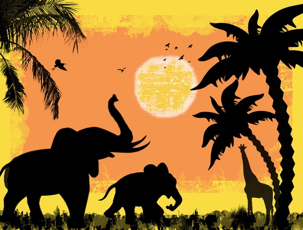 Tema safari africano — Archivo Imágenes Vectoriales