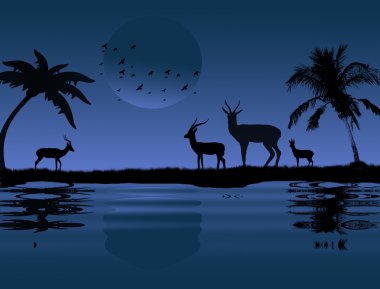 Antelopes near water clipart