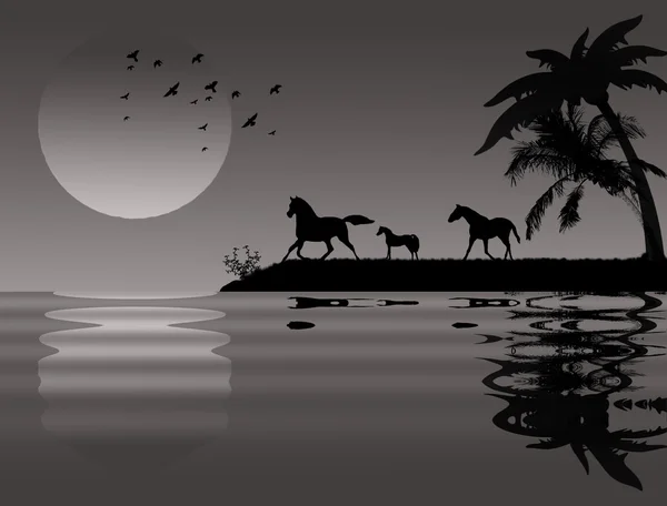 Лошади возле воды — стоковый вектор