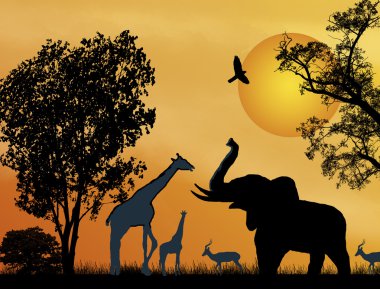 Wildlife safari. clipart