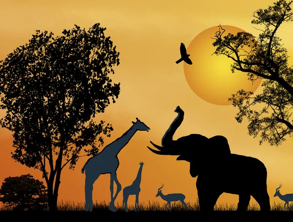 Safari animalier . — Image vectorielle