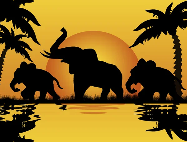 Elephants at sunset — Stock Vector
