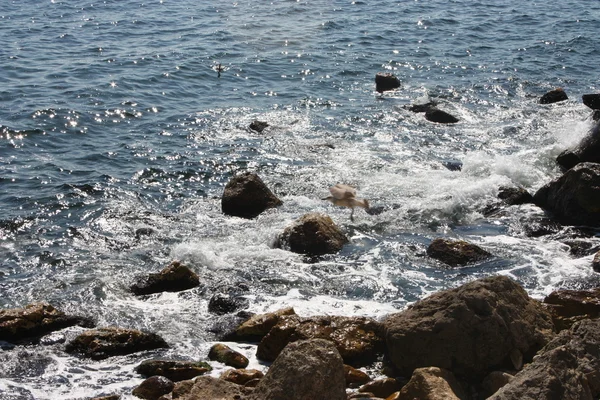 Steine im Meer — Stockfoto