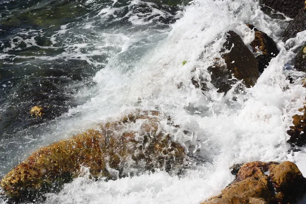 stock image Stones in a sea