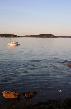 Harbor tekneler