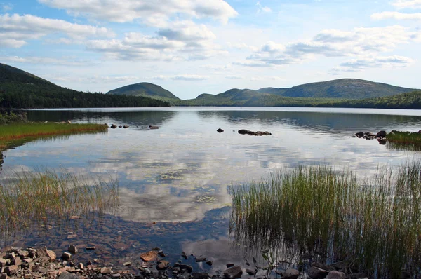 青い空と静かな池 — ストック写真